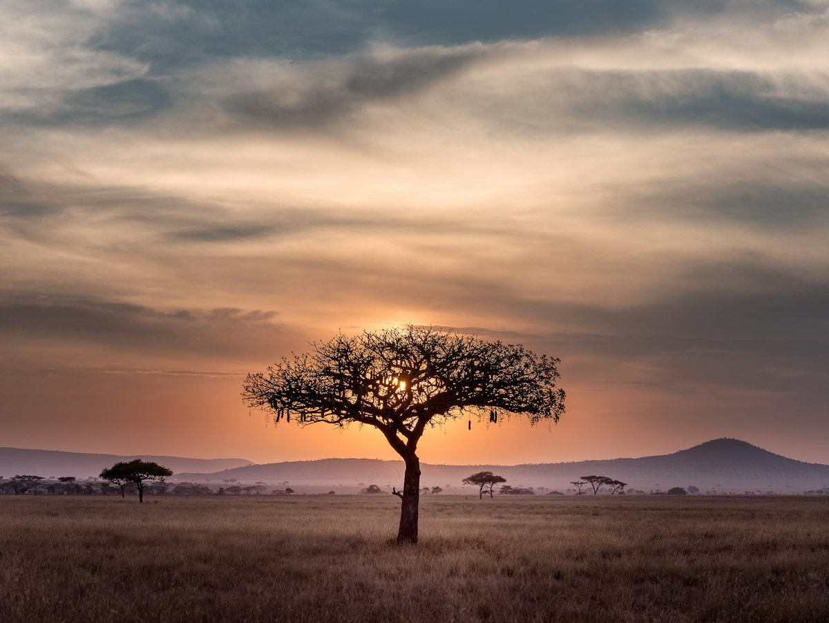 Tech innovation Congo